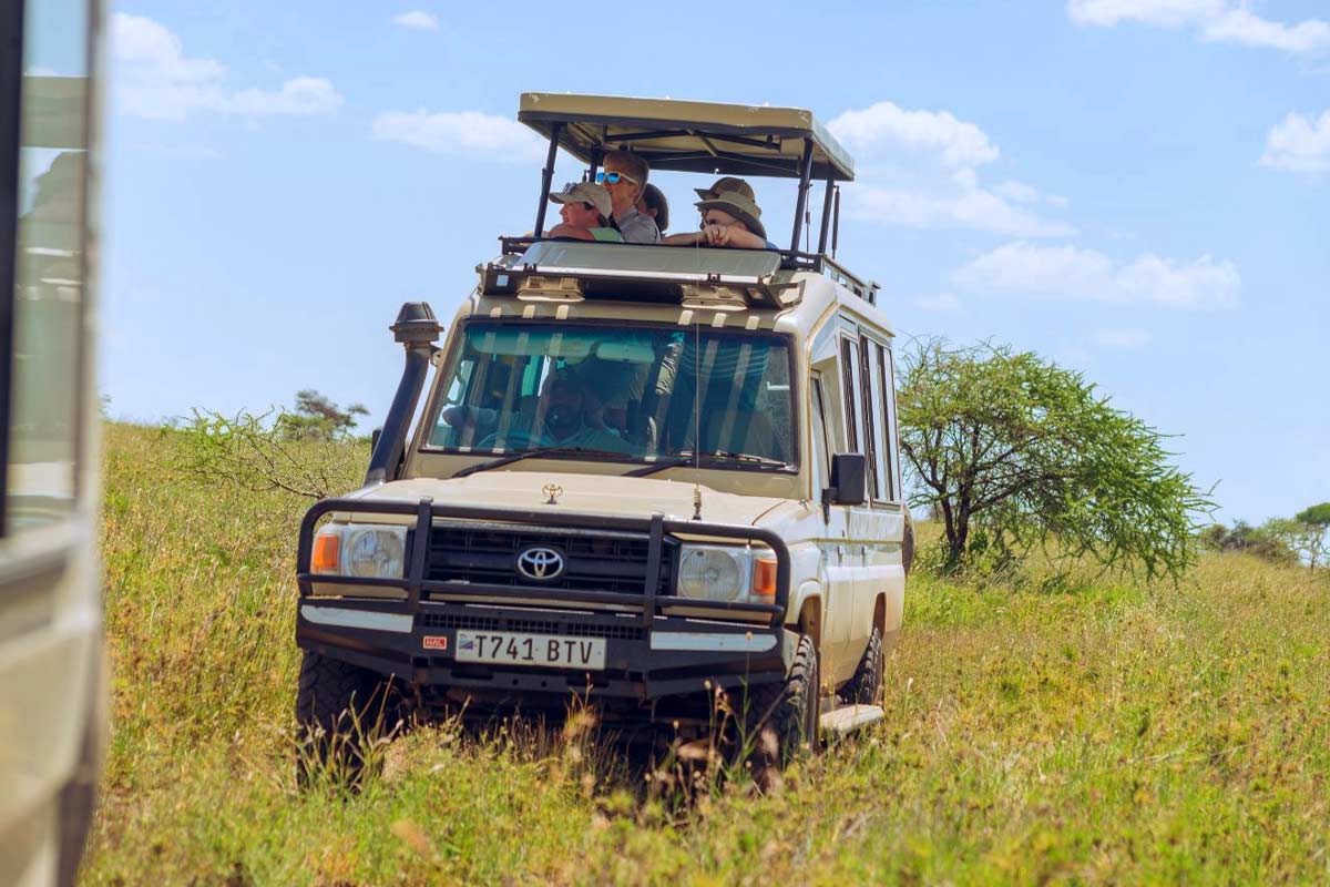 Tanzania Safari FAQs