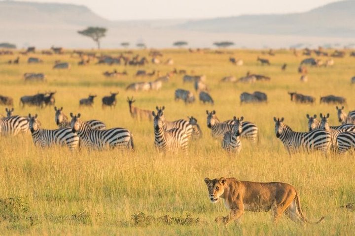 6days-camping-safaris